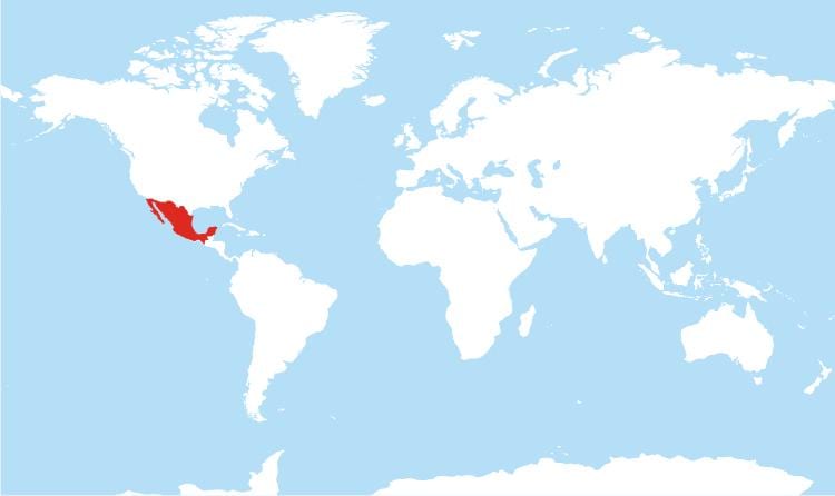mapa Mexiko global