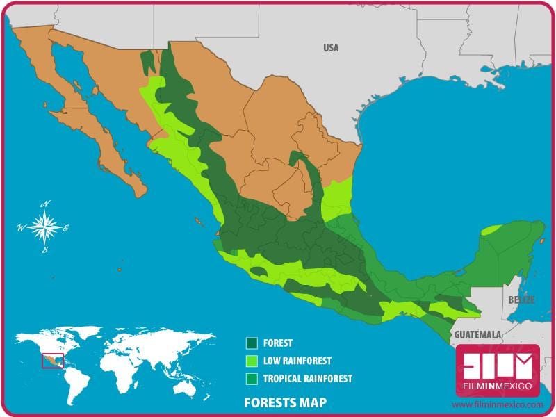 mapa Mexiko basoak
