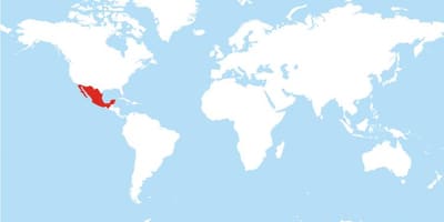 Kokapena Mexikoko munduko mapa